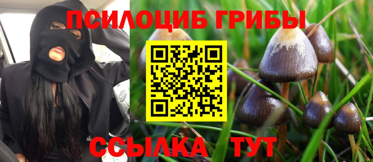 Галлюциногенные грибы Psilocybine cubensis  Псилоцибиновые грибы Psilocybine cubensis  магазин    Вход с VPN  Добрянка 